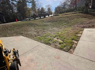 Ben A.'s Leaf Removal service result