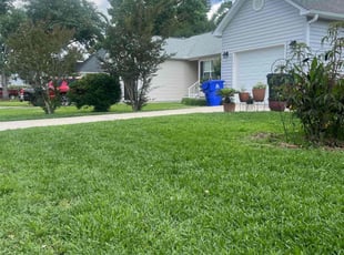 Seth T.'s turf care service result