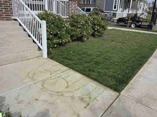 Bryan O.'s lawn maintenance service result
