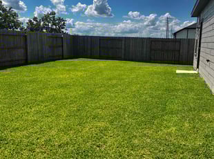 Marcus B.'s lawn care services service result