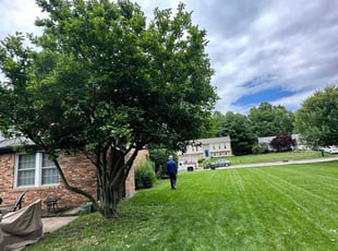 Janet G.'s Tree Care service result