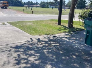 Tenia G.'s lawn maintenance service result