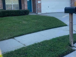 Shahida S.'s turf maintenance service result