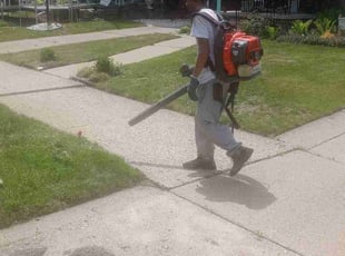 Nicholas R.'s lawn maintenance service result