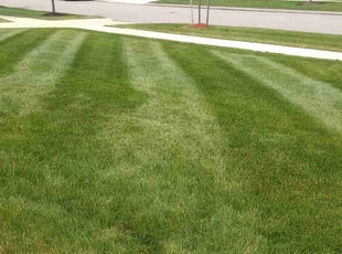 Kristie B.'s lawn care services service result