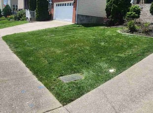 Harrison H.'s lawn care services service result