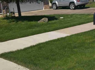 Katie S.'s turf maintenance service result