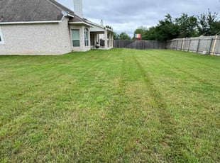 Jim M.'s turf care service result