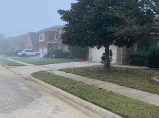 Eric D.'s turf maintenance service result