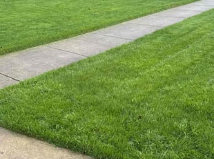 Kaiser R.'s grass cutting service result