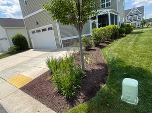 Sherika B.'s lawn maintenance service result