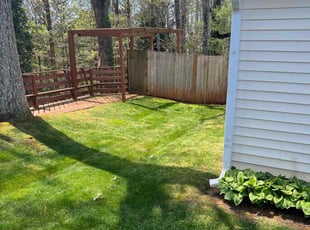 Janice H.'s turf care service result