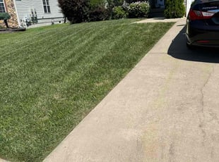 Marta M.'s lawn maintenance service result