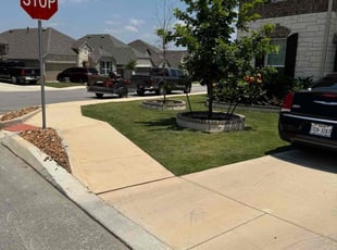 Misty R.'s yard maintenance service result