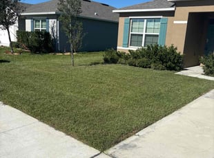 Emmett W.'s lawn care services service result