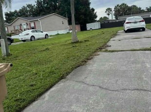 Ben C.'s turf care service result
