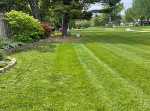 Michael W.'s lawn maintenance service result