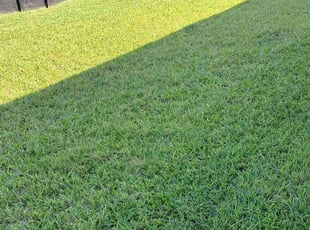 Loren L.'s lawn care service result