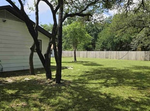 Kalindi R.'s grass cutting service result