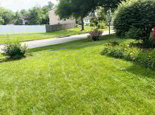 Anna L.'s lawn service service result