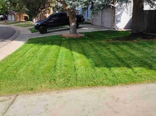 Debania C.'s lawn service service result