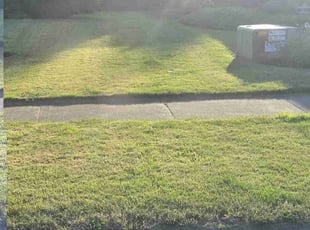 Kristina P.'s lawn maintenance service result