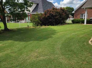 Jessica R.'s lawn care service result