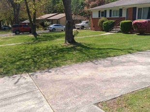 Ozzy D.'s lawn care service result