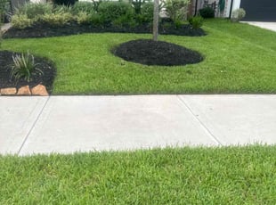 Vanessa C.'s landscaping services service result