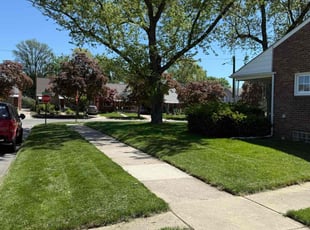 Diane M.'s grass cutting service result