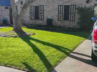 Alexis W.'s lawn care services service result