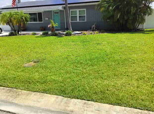 Frederick M.'s turf maintenance service result