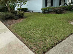 William D.'s turf maintenance service result