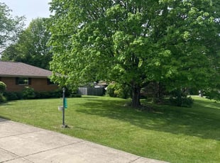 Richard K.'s lawn care service result