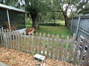 Christi B.'s Bush Trimming service result