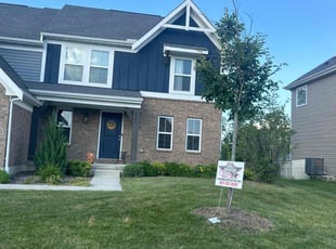 Virlyn K.'s yard maintenance service result