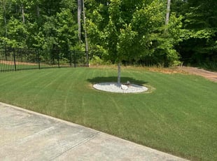 Brittany R.'s lawn care services service result