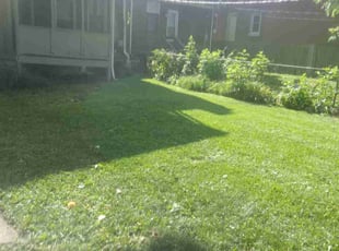 Madeline H.'s turf maintenance service result