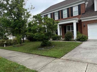 Denise M.'s turf care service result