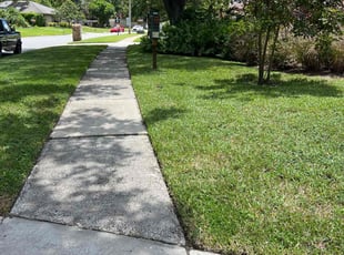 Marlon M.'s lawn care services service result