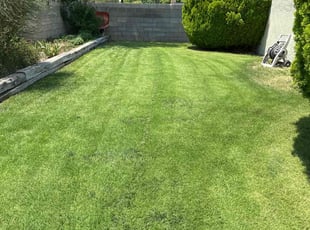 Kerri M.'s gardening service service result