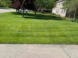 Austen O.'s lawn maintenance service result
