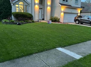 John D.'s grass cutting service result