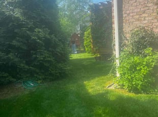 Josh C.'s lawn care service result