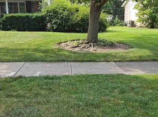 Nick O.'s lawn care services service result