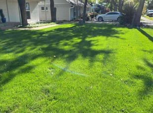 Addison J.'s lawn care service result