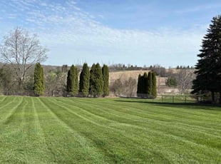 Tom M.'s yard care service result