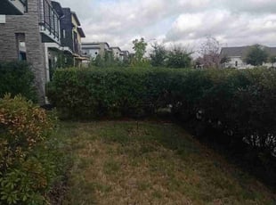 Tim H.'s Bush Trimming service result