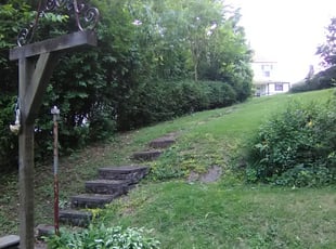 Ruby R.'s Bush Trimming service result