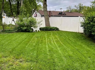 Chrissy A.'s lawn care services service result